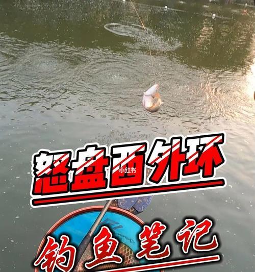 冬季福州闽江钓鱼技巧（享受冬日钓鱼乐趣）  第1张