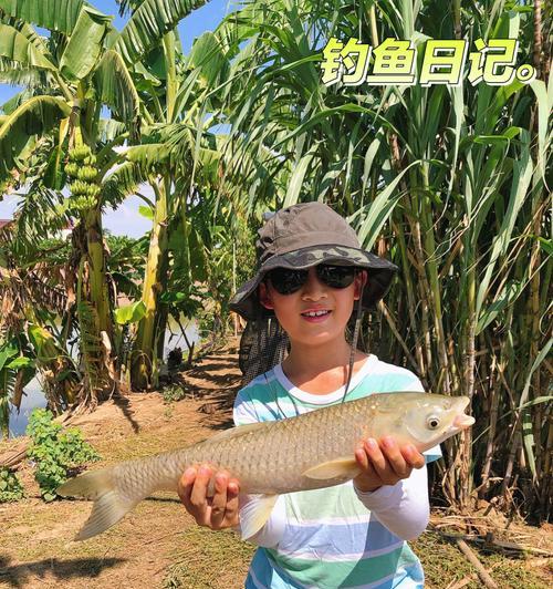 父爱传承（掌握技巧）  第3张
