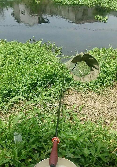 河沟野钓的技巧与经验（发掘附近河沟的秘密）  第3张