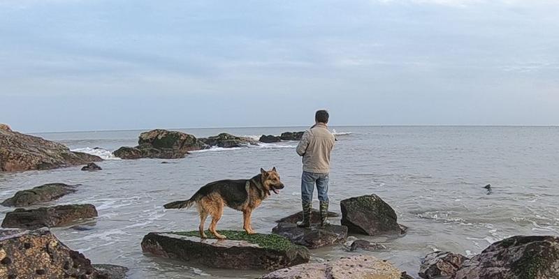 赶海钓鱼小技巧（掌握赶海钓鱼要领）  第2张