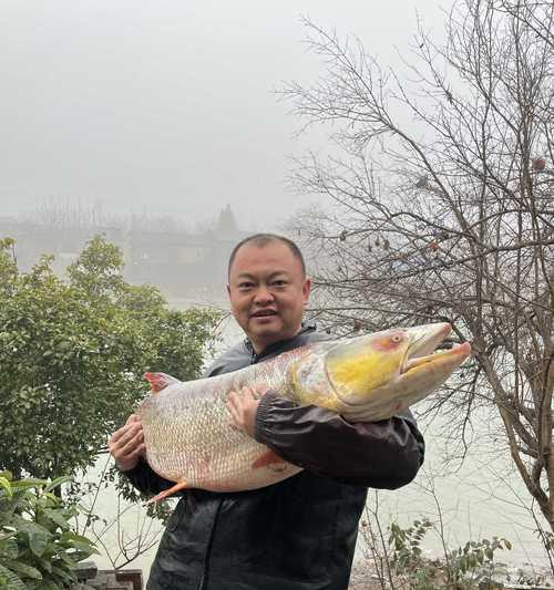 鳡鱼垂钓技巧大揭秘（宝藏鱼种让您畅快享受垂钓乐趣）  第2张