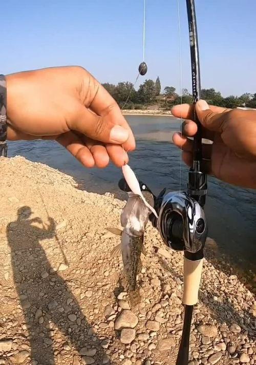 干旱地区钓鱼技巧教程（如何在干旱地区提高钓鱼成功率）  第2张