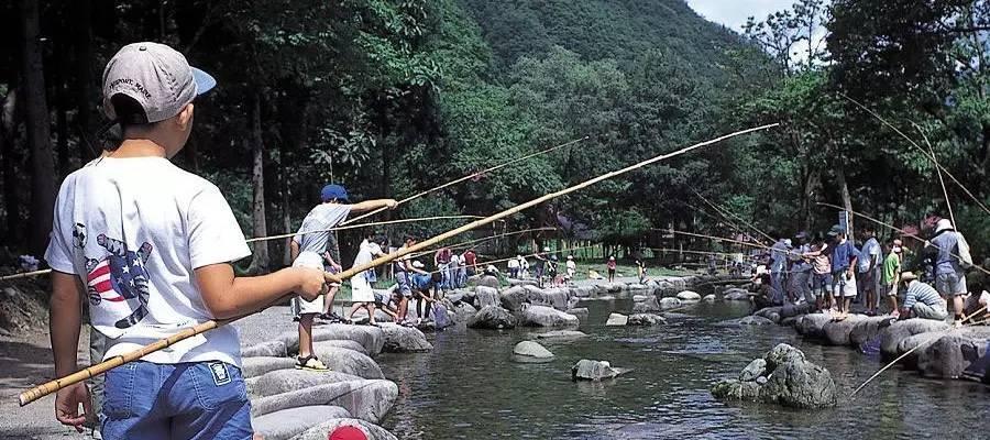 秋季钓鱼技巧大揭秘（提升钓鱼技术）  第2张