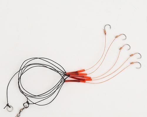掌握海杆钢丝串钩钓鱼的技巧和方法（从选择装备到垂钓技巧）  第2张
