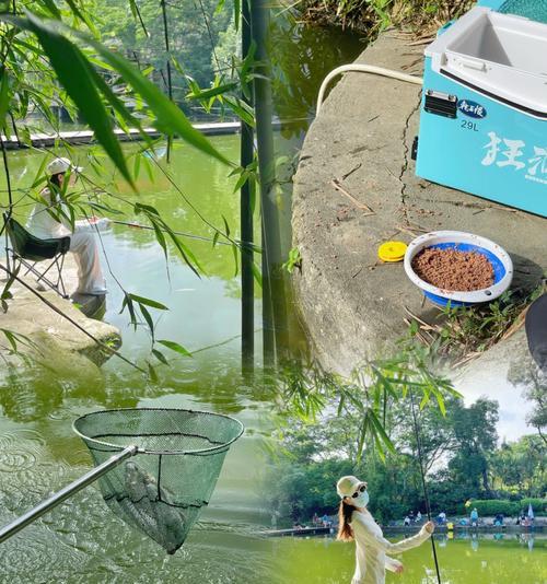 高架下钓鱼技巧（提升钓鱼成功率的实用技巧）  第2张