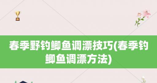 野外钓鱼调漂技巧，娴熟运用方能斩获丰收（高手分析与实操指南）  第1张