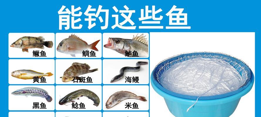 海钓沉底钓鱼技巧（掌握这些技巧）  第1张