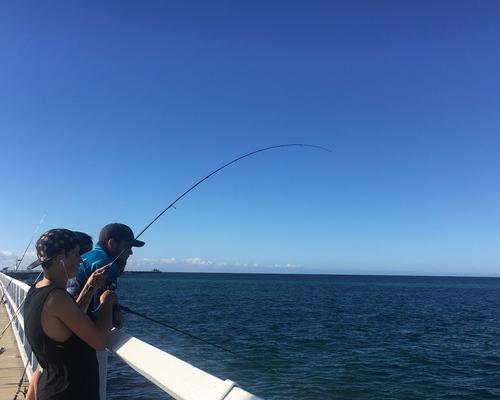 海钓沉底钓鱼技巧（掌握这些技巧）  第2张