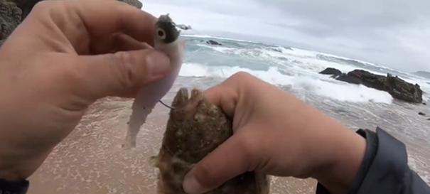 海钓垂钓技巧教程（海钓垂钓技巧初学者必备）  第1张