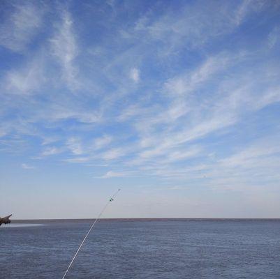 海钓钓鱼技巧教程（掌握海钓技巧）  第1张