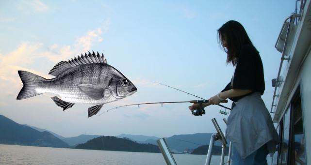 海钓钓鱼技巧教程（掌握海钓技巧）  第3张