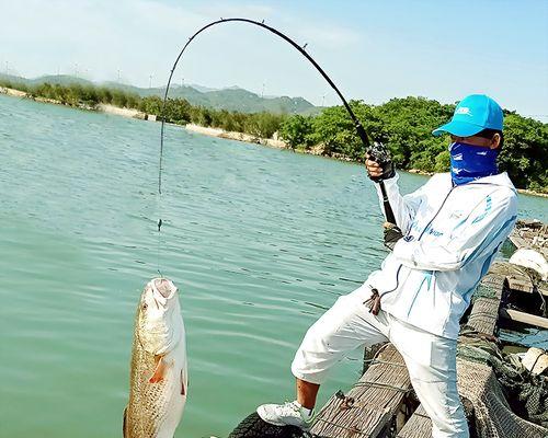 海钓竿使用方法与技巧（掌握海钓竿的使用技巧）  第1张