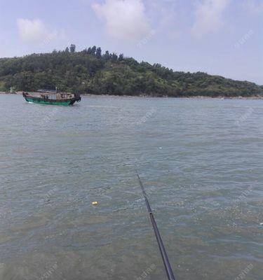 海钓高手的绝技——捕鱼技巧大揭秘（提升海钓技术）  第2张