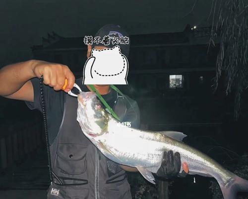 夜钓鳗鱼的技巧（掌握夜钓鳗鱼的要点）  第2张