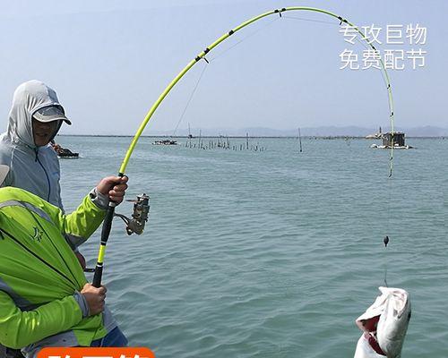 海钓远投沉底钓鱼技巧（掌握远投沉底技巧）  第2张