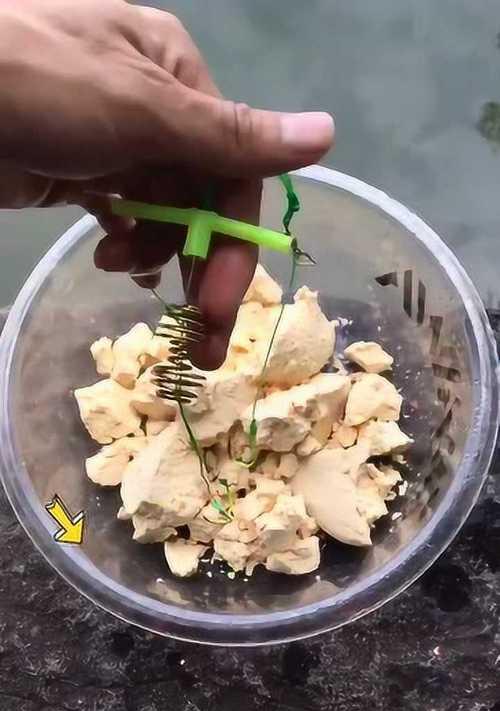 海竿钓鱼饵料的调制技巧（打造诱饵的秘诀）  第1张