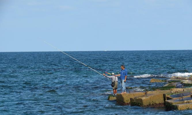 江边海竿钓鱼的技巧与方法（掌握海竿钓鱼的关键）  第3张