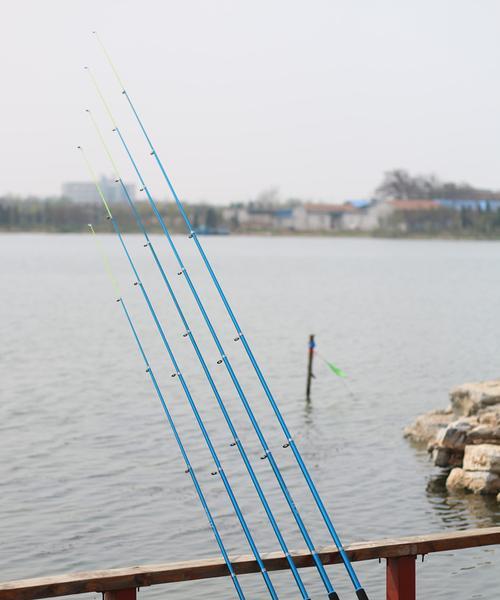 海竿钓鱼技巧详解（轻杆海竿钓鱼技巧分享）  第3张