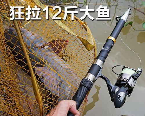 海竿钓鱼技巧（海钓技巧及常见问题解答）  第2张