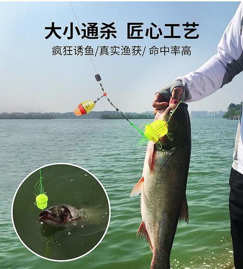 海竿鲢鳙垂钓的技巧与方法（掌握垂钓技巧）  第2张