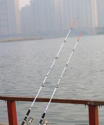 海竿配单钩钓鱼技巧（提高钓鱼效率的海竿选购和单钩使用技巧）  第1张
