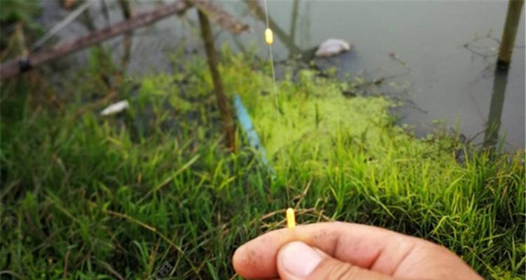 海竿野钓调漂技巧（钓鱼高手教你海竿野钓调漂的实用技巧）  第1张