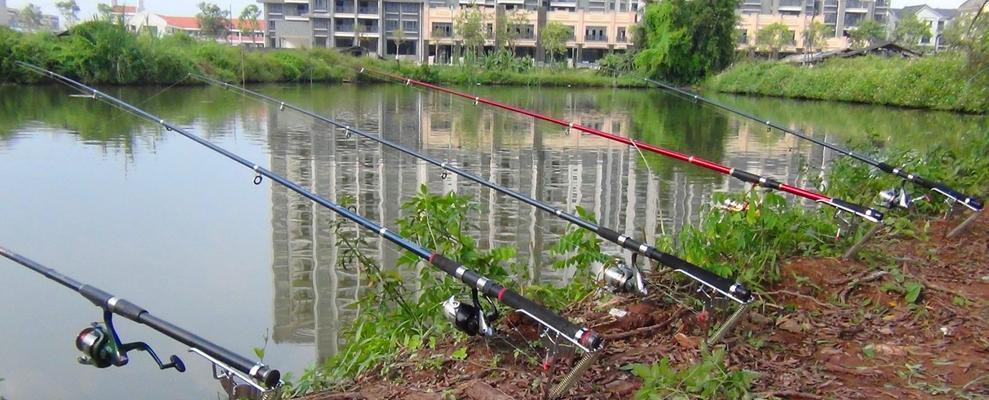 钓鱼高手教你如何使用海竿在河里钓鱼（掌握技巧）  第2张