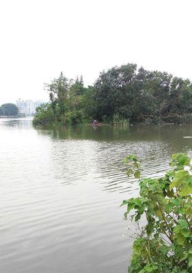 海竿水钓鱼的技巧（掌握钓鱼技巧）  第3张