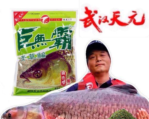 黑坑钓鱼技巧与饵料配方（掌握关键技巧）  第3张