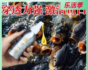 黑坑钓鱼素饵的使用技巧（提升钓鱼成功率的关键策略）  第2张