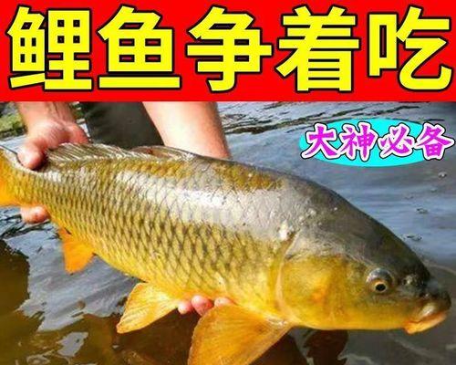 黑坑浮料钓鲤鱼技巧（挑选合适浮料）  第1张