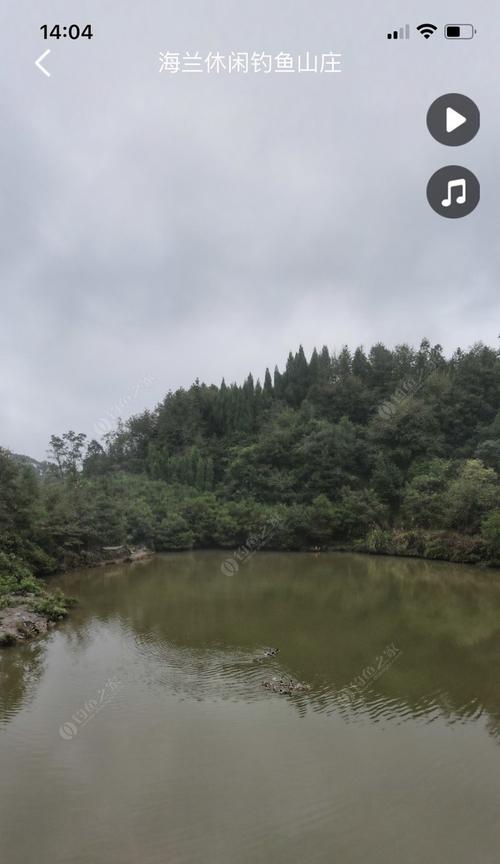黑坑黄鱼垂钓技巧（探寻黑坑黄鱼的捕获技巧）  第2张