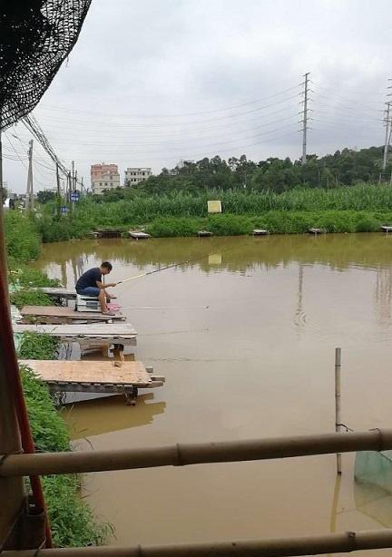 黑坑浑水钓鱼的技巧与要领（揭秘黑坑浑水钓鱼的实用技巧和策略）  第2张