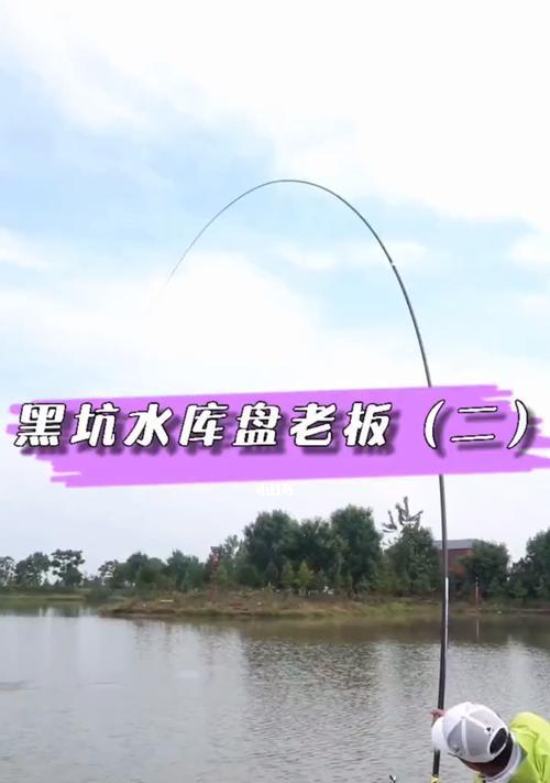 黑坑老滑鱼垂钓技巧（探秘老滑鱼垂钓技术）  第3张