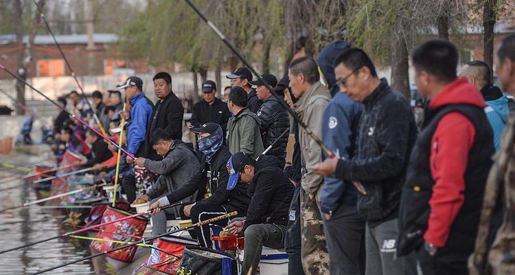 黑坑水浅钓鱼技巧（浅水情况下的黑坑钓鱼经验分享）  第3张