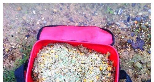掌握黑龙滩钓鱼打窝技巧的秘籍（钓鱼高手分享的黑龙滩打窝技巧）  第2张