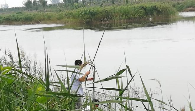 黑漂连竿钓鱼技巧（掌握黑漂连竿钓鱼的技巧）  第3张