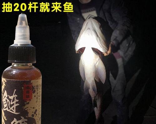 黑色鱼饵搭配技巧（提升钓鱼成功率的专家指南）  第1张