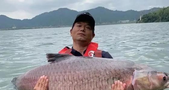 红毛线钓鱼技巧（掌握红毛线钓鱼的关键技巧与心得）  第1张