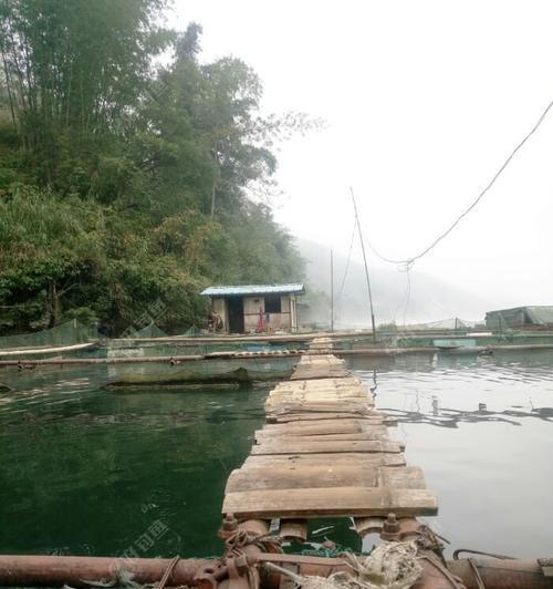 红水河垂钓技巧（钓鱼达人分享红水河垂钓经验）  第3张