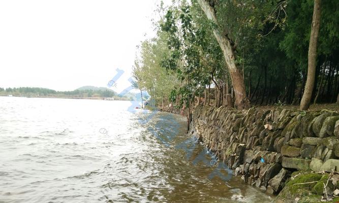 洪泽湖钓鱼技巧与方法（探秘洪泽湖的钓鱼技巧）  第2张