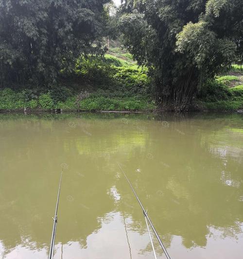 洪泽湖钓鱼技巧与方法（探秘洪泽湖的钓鱼技巧）  第3张