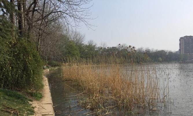 湖钓鱼技巧教学（掌握湖钓技巧）  第3张