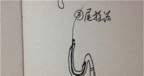 胡萝卜钓鱼的正确方法和技巧（钓鱼达人分享）  第3张