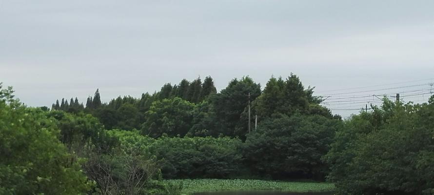 葫芦塘钓鱼技巧与方法（探秘钓鱼圣地）  第1张