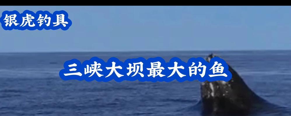 极寒钓鱼的技巧与方法（挑战低温）  第3张