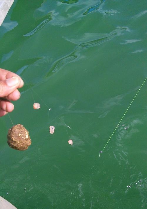 急流河边钓鱼技巧（掌握技巧）  第1张