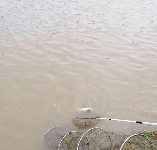急流水钓鱼的技巧与方法（技巧、装备与调节）  第1张