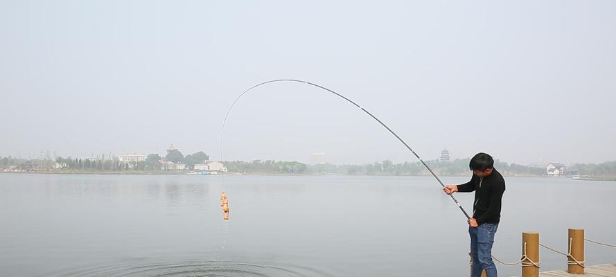 急水钓鱼的调钓技巧（助你轻松钓获丰富的渔获）  第3张