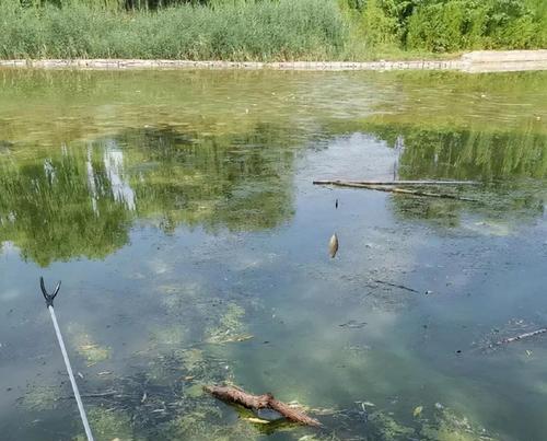 深水钓鱼技巧与方法（探秘几十米深水钓鱼的窍门与技巧）  第2张